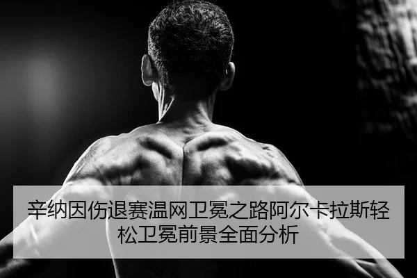 xin-na-yin-shang-tui-sai-wen-wang-wei-mian-zhi-lu-a-er-ka-la-si-qing-song-wei-mian-qian-jing-quan-mian-fen-xi-2-319.jpg